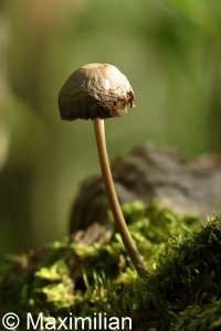 20220923_0025.JPG