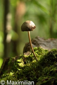 20220923_0029.JPG