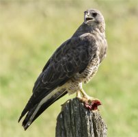 _MG_0554 copy-topaz-denoise-sharpen.jpg