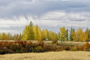 _66A1506_DxO (1).jpg