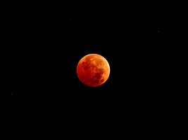 Beaver Blood Moon 5518.JPG