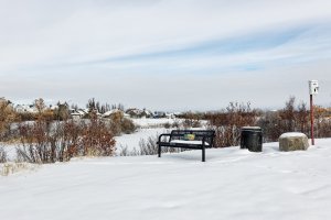 Apple Photos Document.jpg