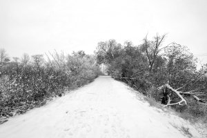 Apple Photos Document.jpg