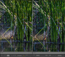 Screen Shot 2022-11-23 at 11.56.38 AM.png