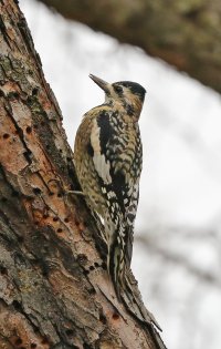 5D3_3065 px3 fix - Copy.jpg