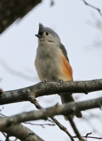 5D3_3355 ps3 fix-topaz-enhance - Copy.jpg