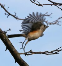 5D3_3824 ps3 fix-topaz-enhance-SharpenAI-Motion - Copy.jpg