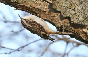 5D3_3639 px3 fix-topaz-enhance - Copy.jpg