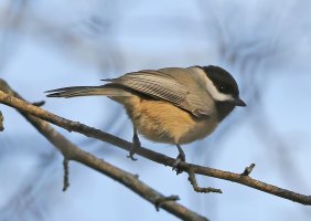 5D3_3756 px3 fix-topaz-enhance - Copy.jpg