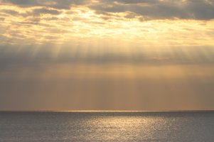 IMG_1045 - Copy 2000.jpg