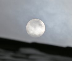 5D3_4528 picasa crop ps3 fix.jpg