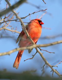 5D3_4714 picasa fix ps3 fix-topaz-enhance - Copy.jpg