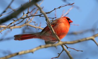 5D3_4721 picasa fix ps3 fix-topaz-enhance - Copy.jpg