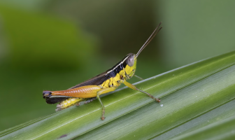 Screenshot 2023-01-02 at 19.32.07.png