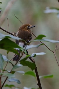 DSC_1845_DxO.jpg DSC_1845_DxO.jpg