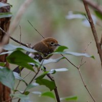 DSC_1852_DxO.jpg DSC_1852_DxO.jpg