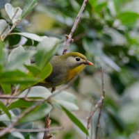 DSC_1820_DxO.jpg DSC_1820_DxO.jpg