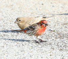 5D3_5353 ps3 fix - Copy.jpg