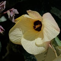 DSC_1054_DxO.jpg DSC_1054_DxO.jpg