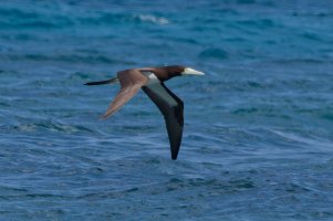 DSC_2779_DxO.jpg DSC_2779_DxO.jpg