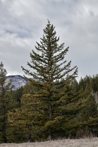 _V2A8748.jpg _V2A8748.jpg