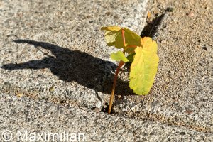 20220502_0058.JPG 20220502_0058.JPG