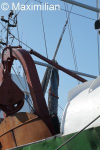 20220502_0078.JPG 20220502_0078.JPG