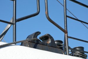 20220502_0080.JPG 20220502_0080.JPG