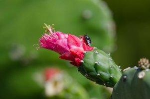 DSC_3183_DxO.jpg DSC_3183_DxO.jpg