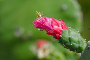 DSC_3191_DxO.jpg DSC_3191_DxO.jpg