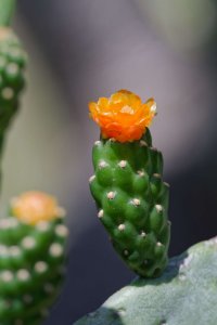 DSC_3284_DxO.jpg DSC_3284_DxO.jpg