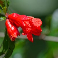 DSC_3232_DxO.jpg DSC_3232_DxO.jpg