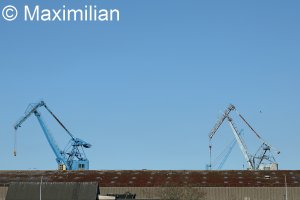 20220502_0098.JPG 20220502_0098.JPG