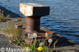 20220502_0104.JPG 20220502_0104.JPG