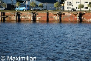 20220502_0123.JPG 20220502_0123.JPG