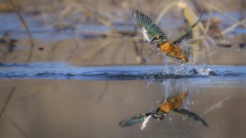 HB 20230210_51A0397_DxO-Bearbeitet.JPG