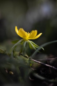 6C4A0774.jpg 6C4A0774.jpg