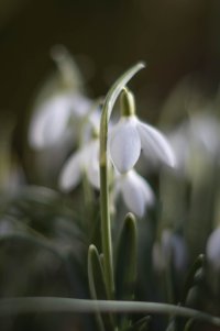 6C4A0775.jpg 6C4A0775.jpg