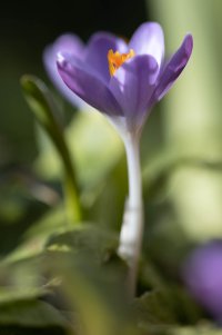 6C4A0778.jpg 6C4A0778.jpg