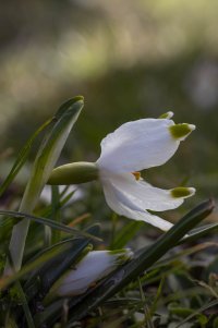 6C4A0785.jpg 6C4A0785.jpg