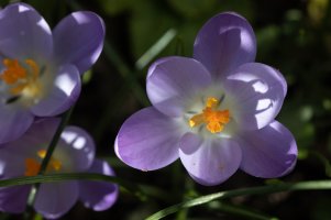 6C4A0789.jpg 6C4A0789.jpg