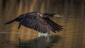 HB 20230221_51A2288_DxO-Bearbeitet.JPG