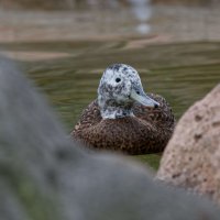 DSC_3665_DxO.jpg DSC_3665_DxO.jpg