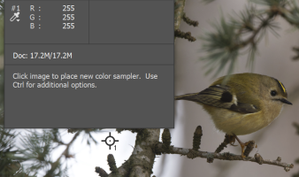 Annotation 2023-03-10 172722.png