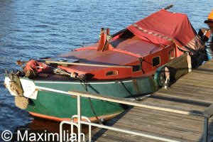 20220502_0150.JPG 20220502_0150.JPG