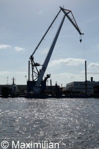 20220503_0151.JPG 20220503_0151.JPG