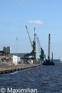 20220503_0156.JPG 20220503_0156.JPG