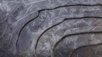 IMG_0291 (1) copy.jpg