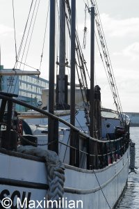 20220503_0197.JPG 20220503_0197.JPG