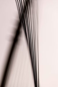 2023-03-18 Arboretum - Andy-95.jpg